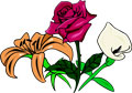 fleur